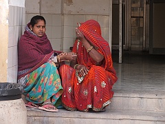 Jaipur (82)